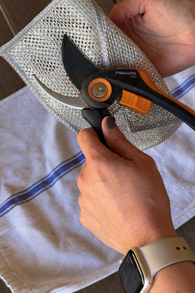 Clean off hand pruners with steel cloth