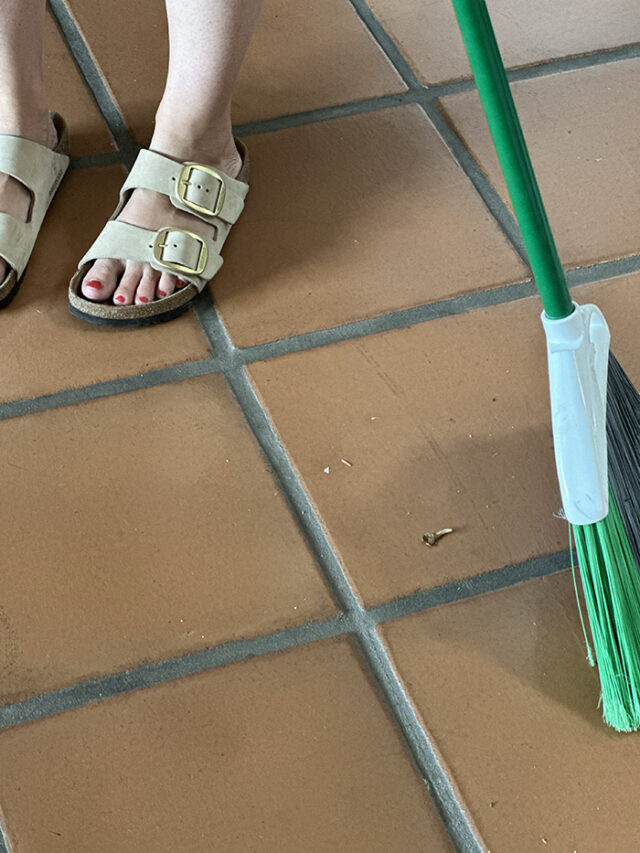 How to clean Saltillo Tile Delineate Your Dwelling