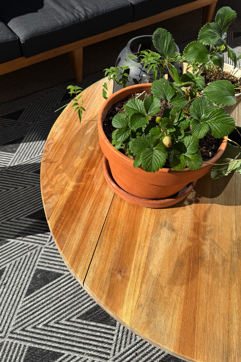 Oiled Teak Table