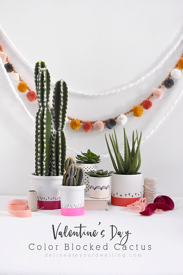 Red and Pink Color Block Cactus Pots