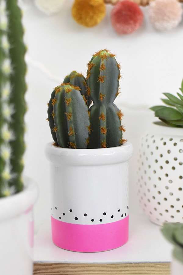 Color Block Cactus, pink and polka dots