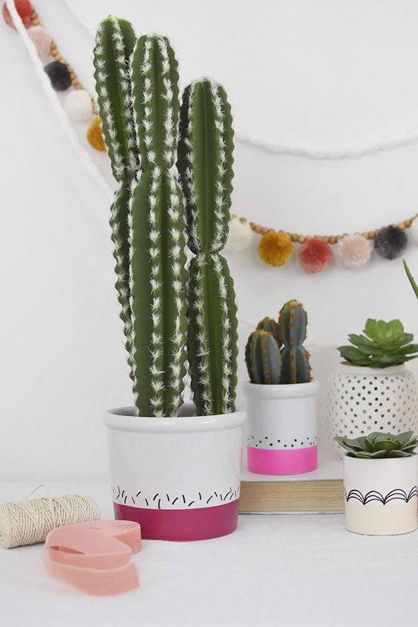 Tall Skinny Cactus Color Block pot