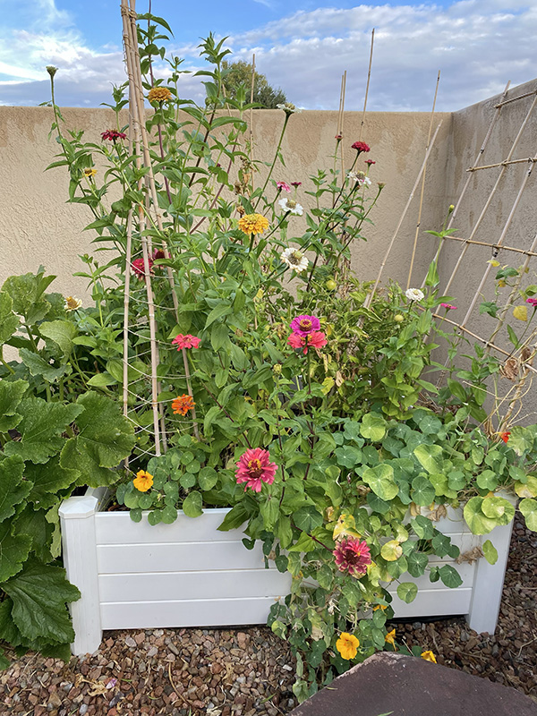 Compost Garden