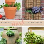 Create Herb Garden Setups