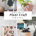 Plant Crafts