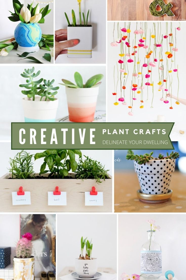 Creative Plant Craft Ideas