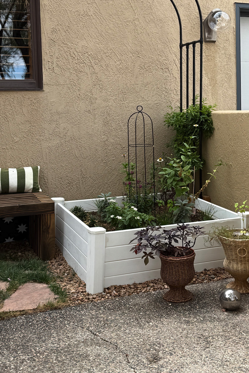Gorgeous flower white flower bed with two pots and a trellis situated in a courtyard