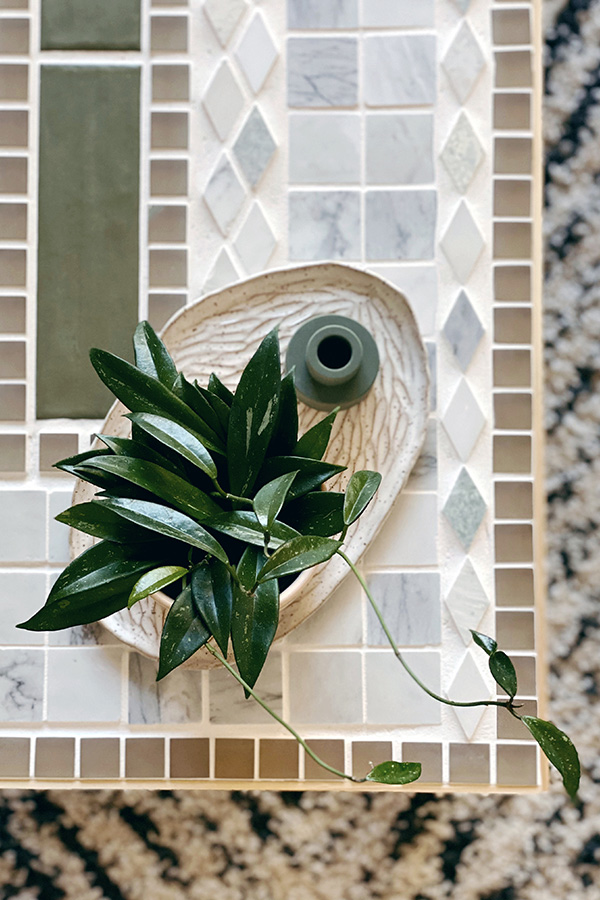 Plant on tile table