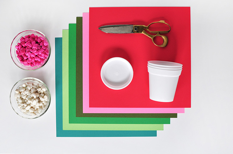 Paper Cactus and Grasses supplies