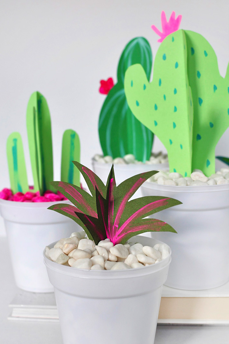 Olive green plant grass with pink painted line work in white pot