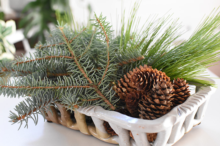 Foraged Evergreens and Pinecones