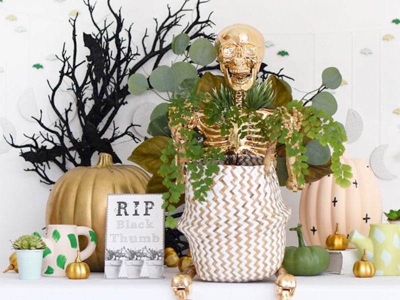 Gold skeleton setup with gold, green and peach pumpkins, watering dash painted cans