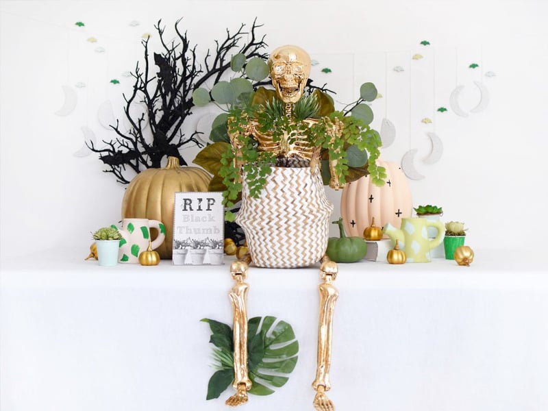 DIY Plant Lady Gold Skeleton on white display table with cute Halloween decor