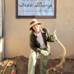 Removal of tree stump