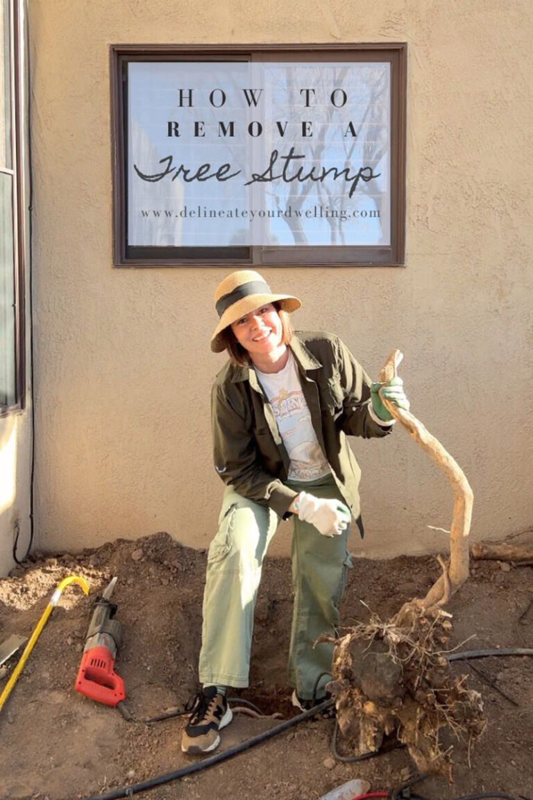 How to Remove a Multi-Trunk Tree Stump: A Step-by-Step DIY Guide ...