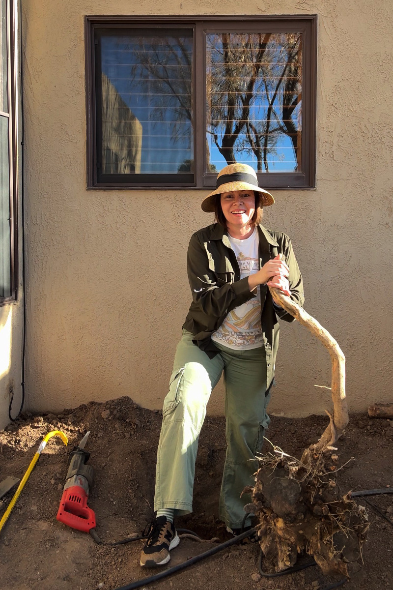 Standing near a removed tree stump rootball