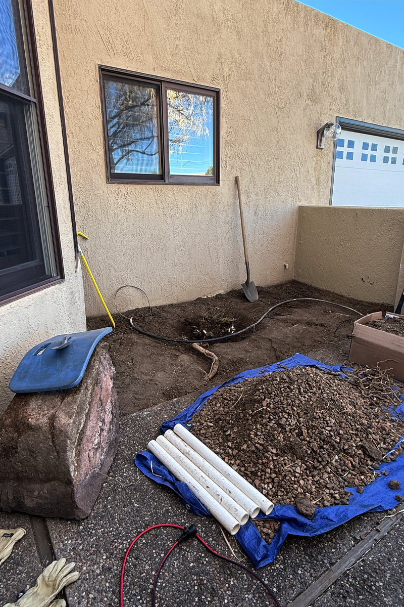 Dig around rootball with shovel