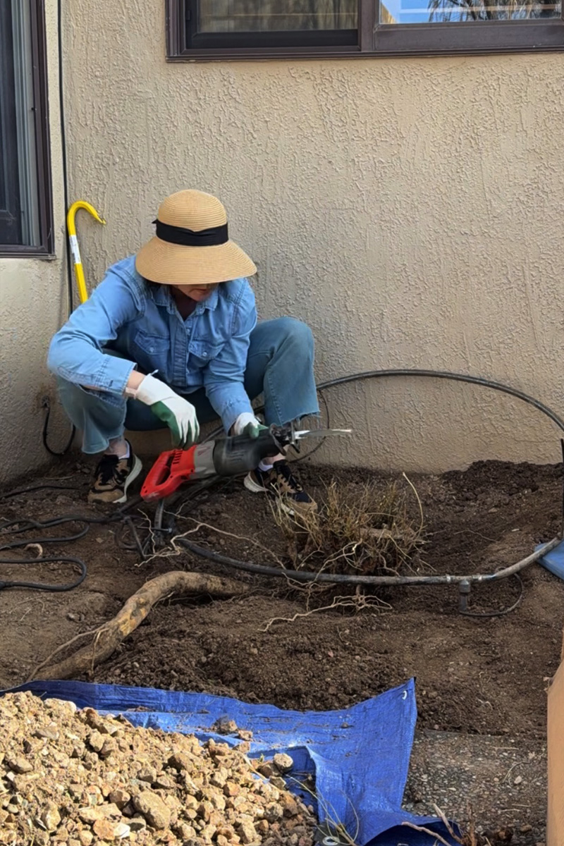 Using a sawzall to cut roots