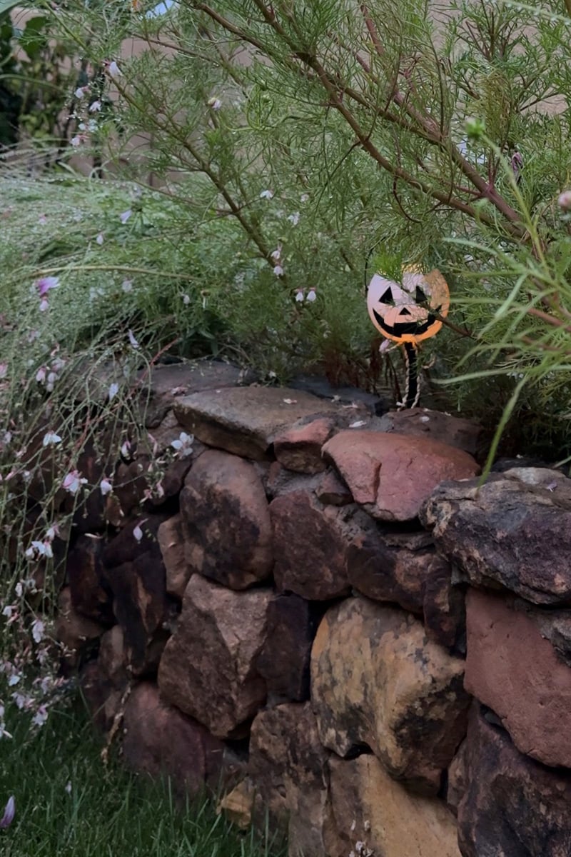 Orange mini pumpkin light in a flower bed of green plants