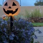 DIY Solar Outdoor Pumpkin Lights - night in purple flowers