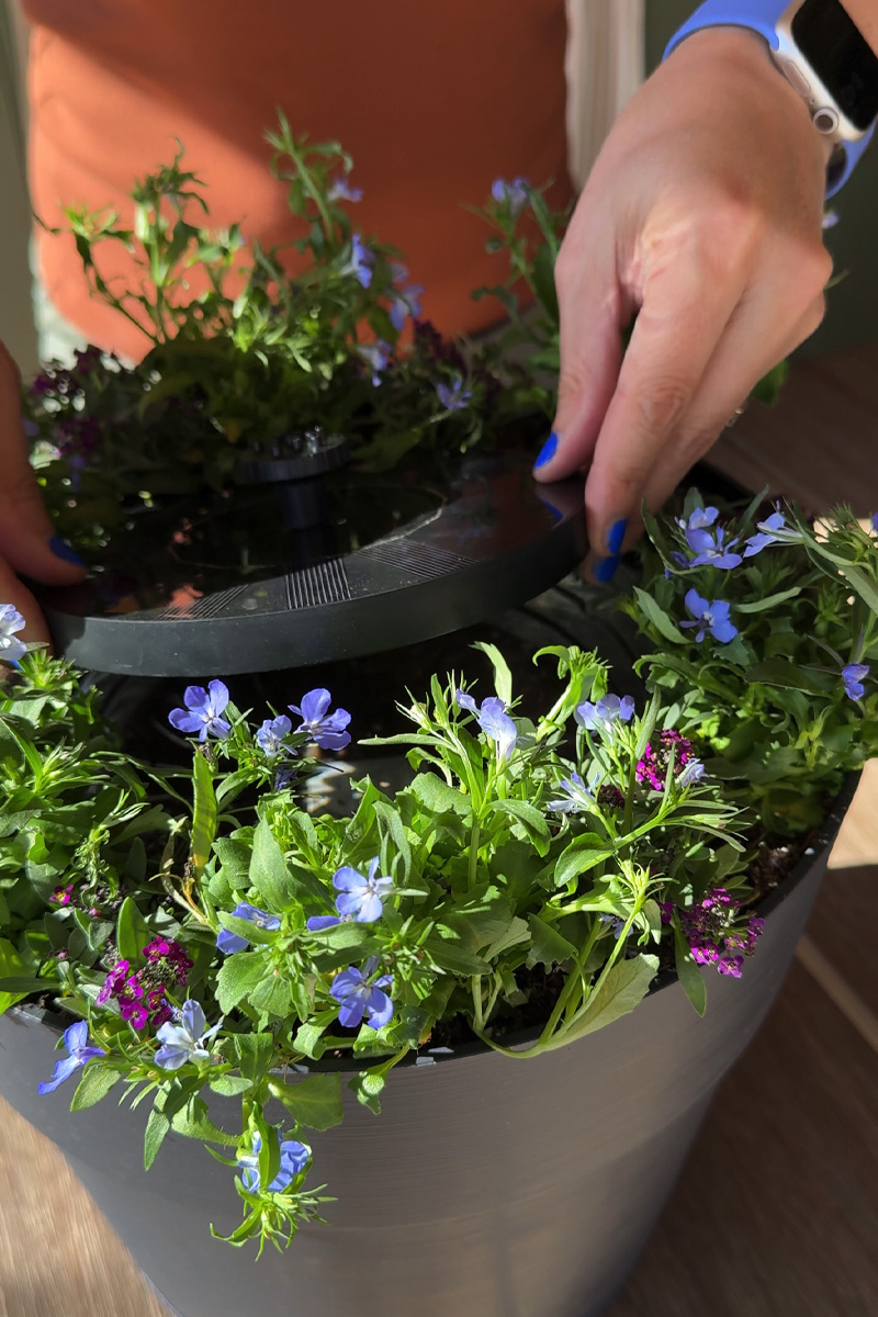 Flower pot with solar fountain