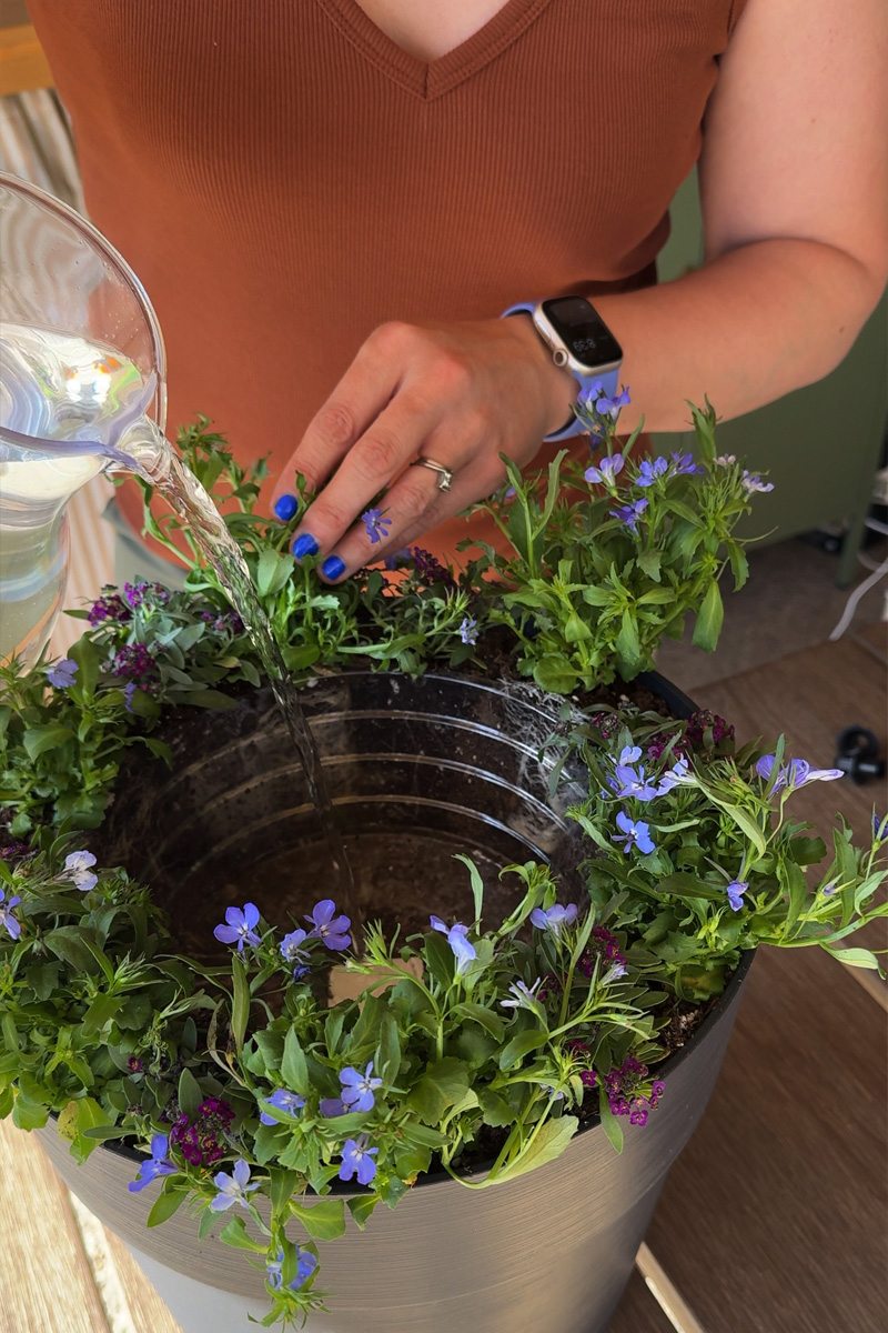 Adding water to flower pot