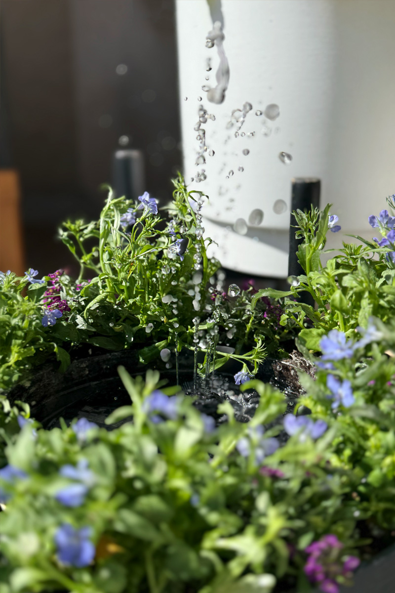 Water fountain with purple flowers