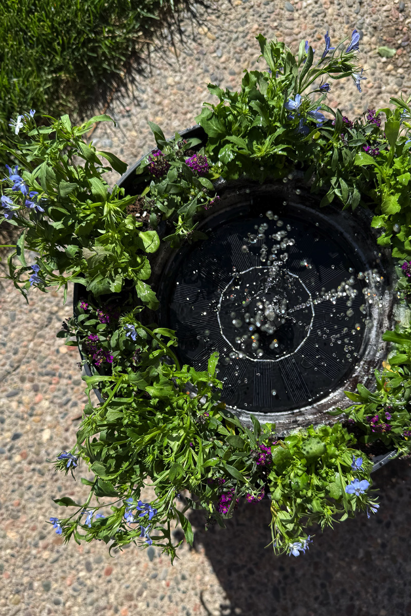 DIY solar Flower water fountain 
