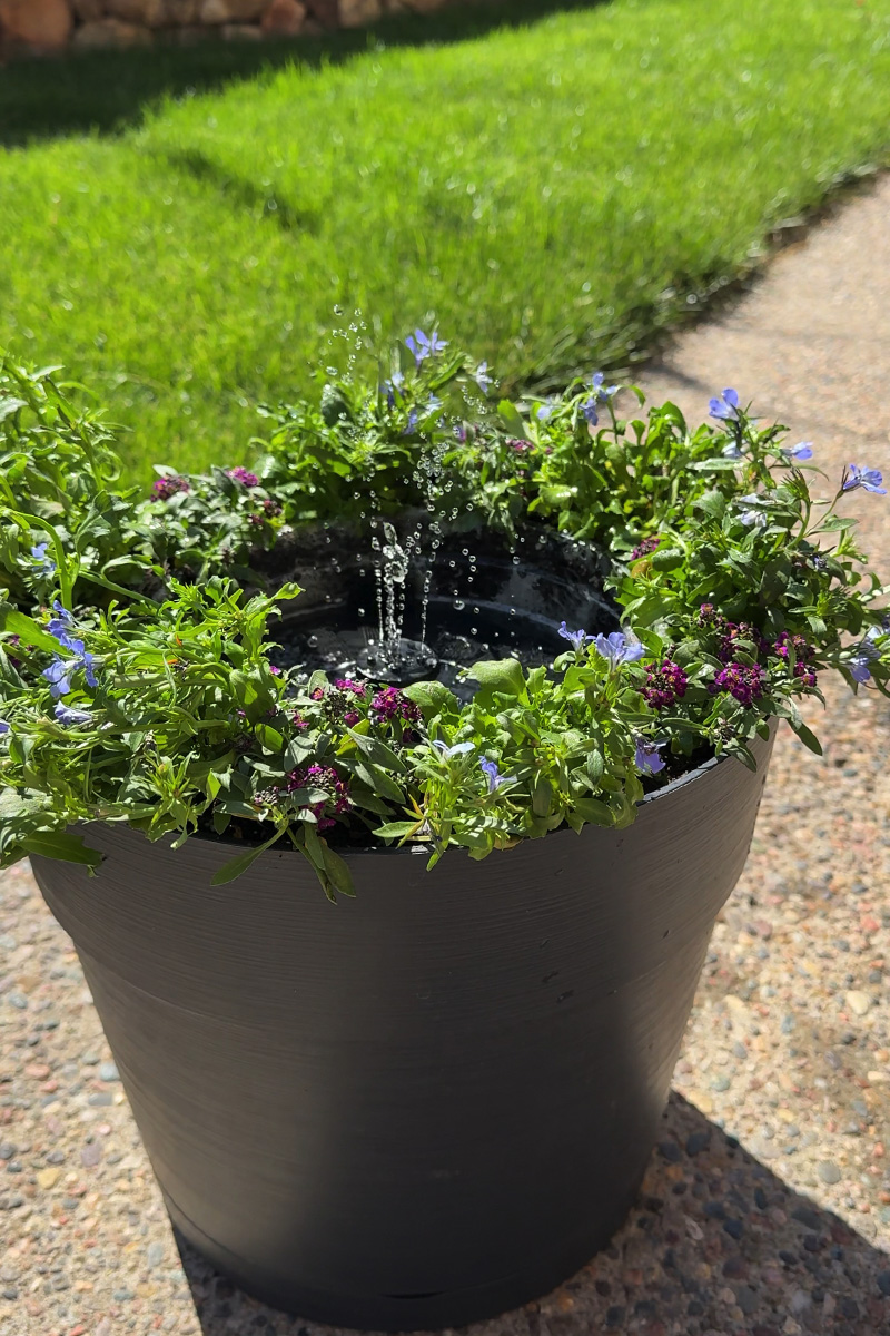 DIY solar water fountain 