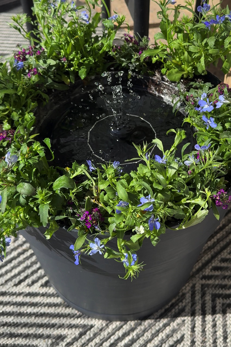 DIY solar water fountain pump installation