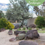 Desert Landscape