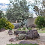 Simple Desert Landscape