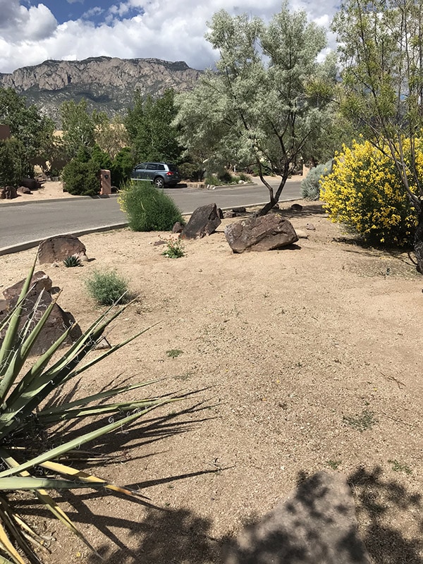 Desert Landscape Plan-before