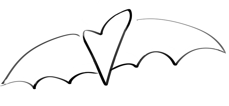 Bat body drawing