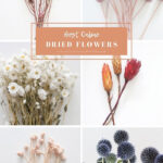 Dried Flowers