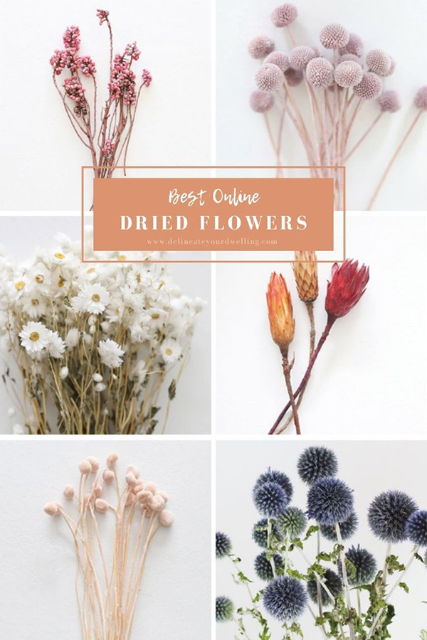 Online Dried Flowers