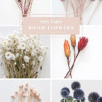 Best Online Dried Flowers