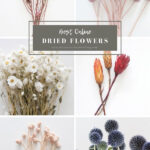 Best Online Dried Flowers