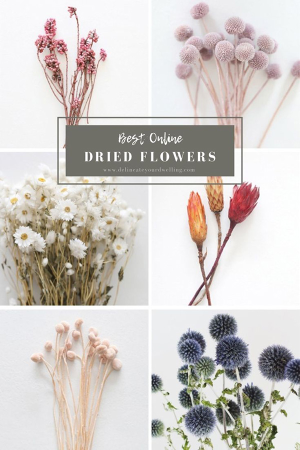 Dried Flowers