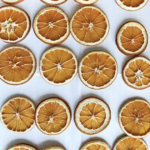 Dried-Orange-Slices