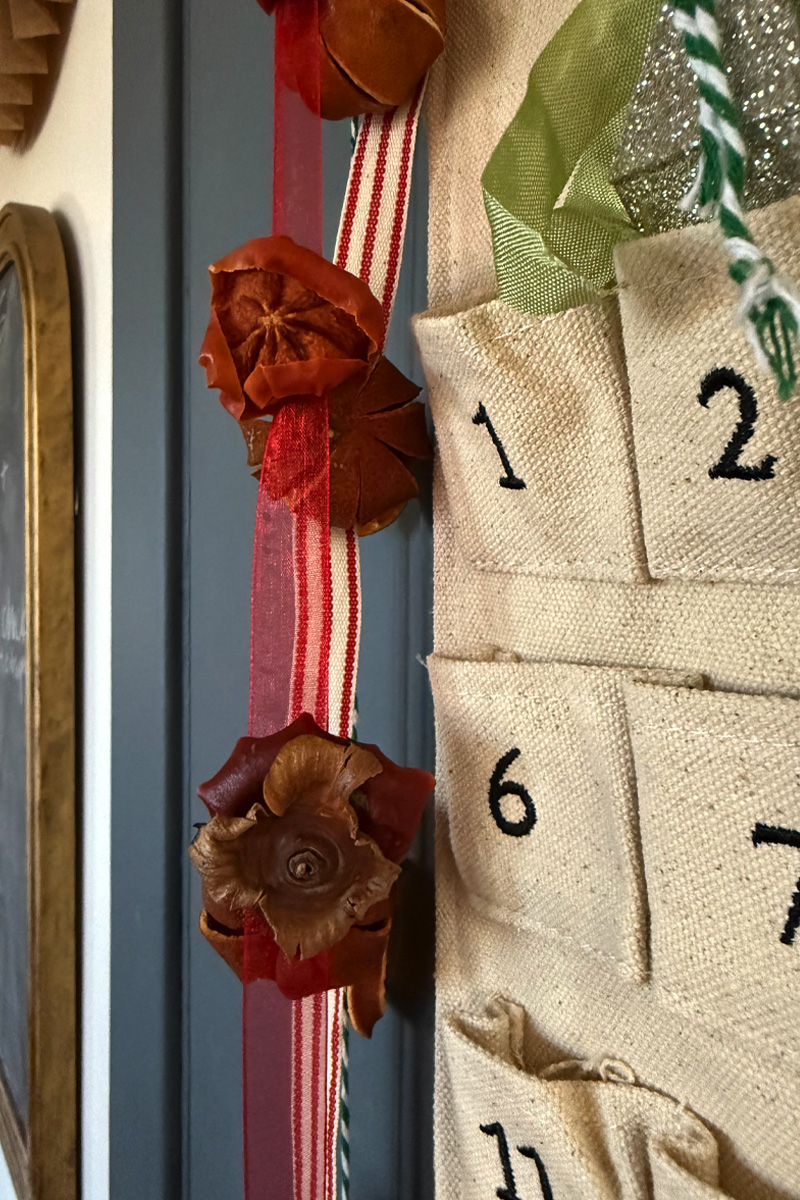 Strung dried persimmon garland