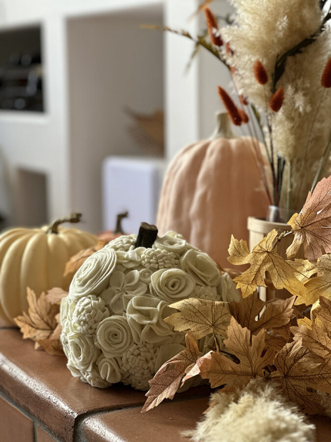 Fall Dried Leaves, Grasses and Pumpkins