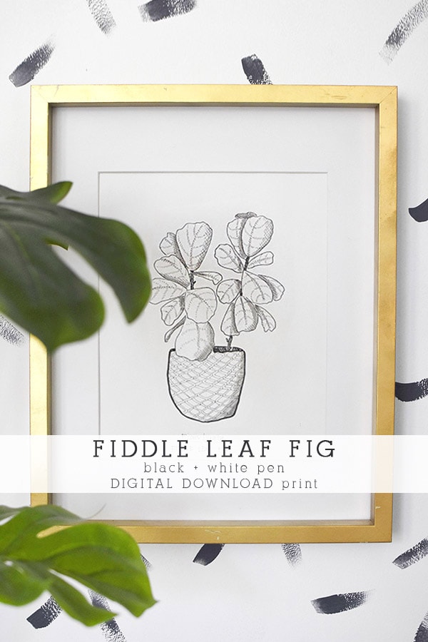 Fiddle Leaf Fig Art Print