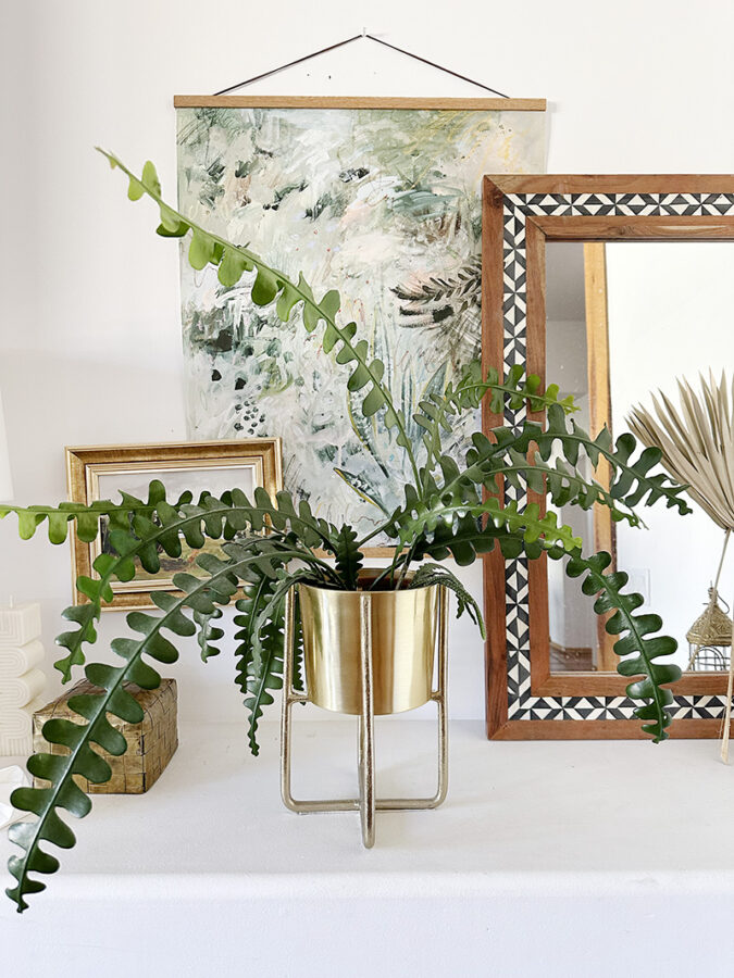 Healthy Fishbone Cactus plant in gold pot