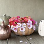 Flower-Pumpkin-Cosmo-Zinnia