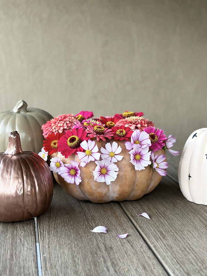 Red and pink Flower Pumpkin