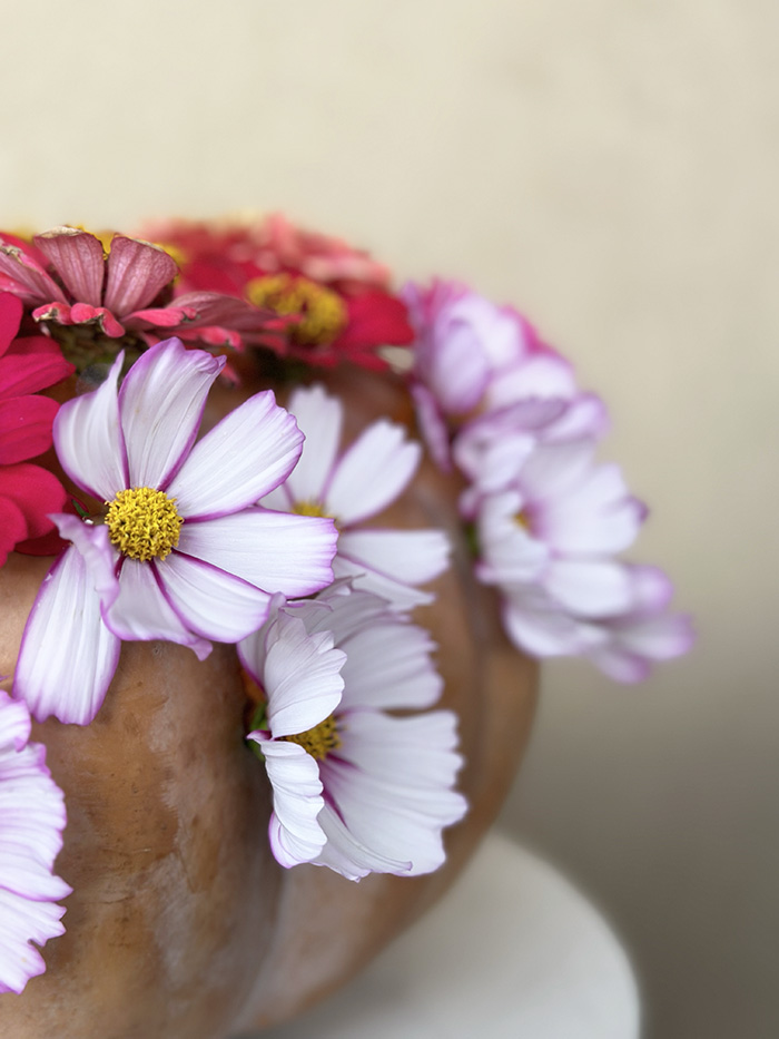 Flowers in a pumpkin