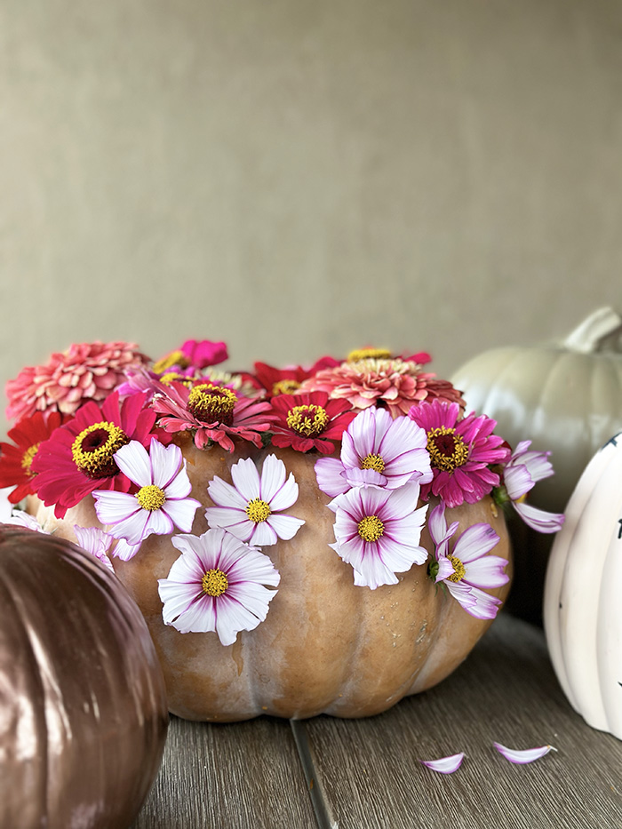 Red and Pink Flower Pumpkin