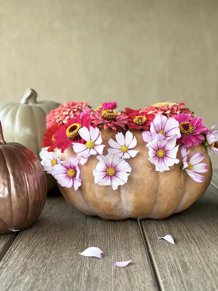 Cosmo and Zinnia Flower Pumpkin