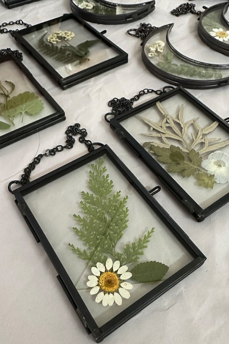 Pressed Daisy and leaves in glass